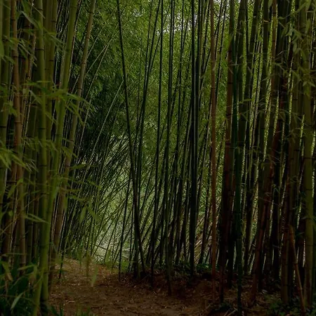 El Molino De Bonaco *