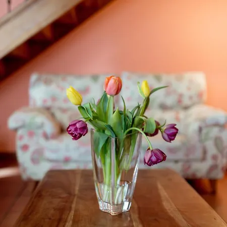 El Molino De Bonaco San Vicente De La Barquera