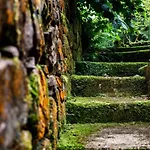 Casa di campagna El Molino De Bonaco