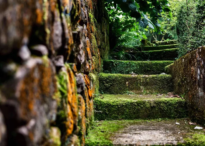 Εξοχικό σπίτι El Molino De Bonaco